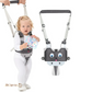 Ceinture-de-Traction-pour-Bébé-Bébé-Superstar-motif-Gris-Harnais-de-marche